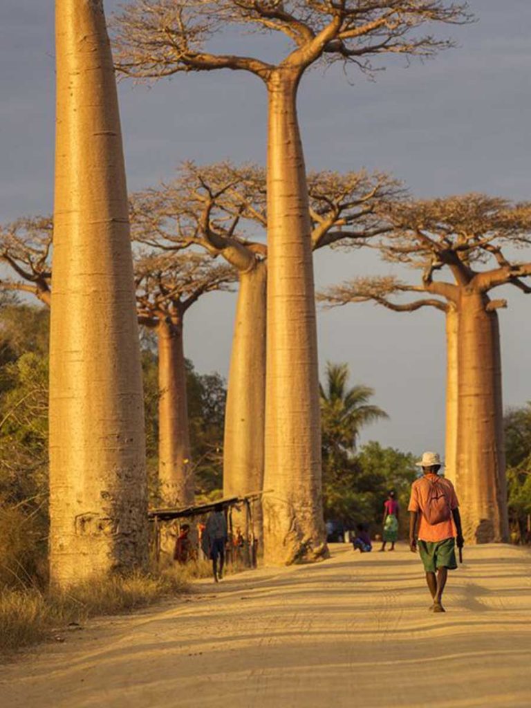 Madagascar, envoûtante et mystérieuse... Une invitation au voyage dans l'archipel de Nosy be et de Nosy komba, une nature unique au monde, un peuple accueillant..
