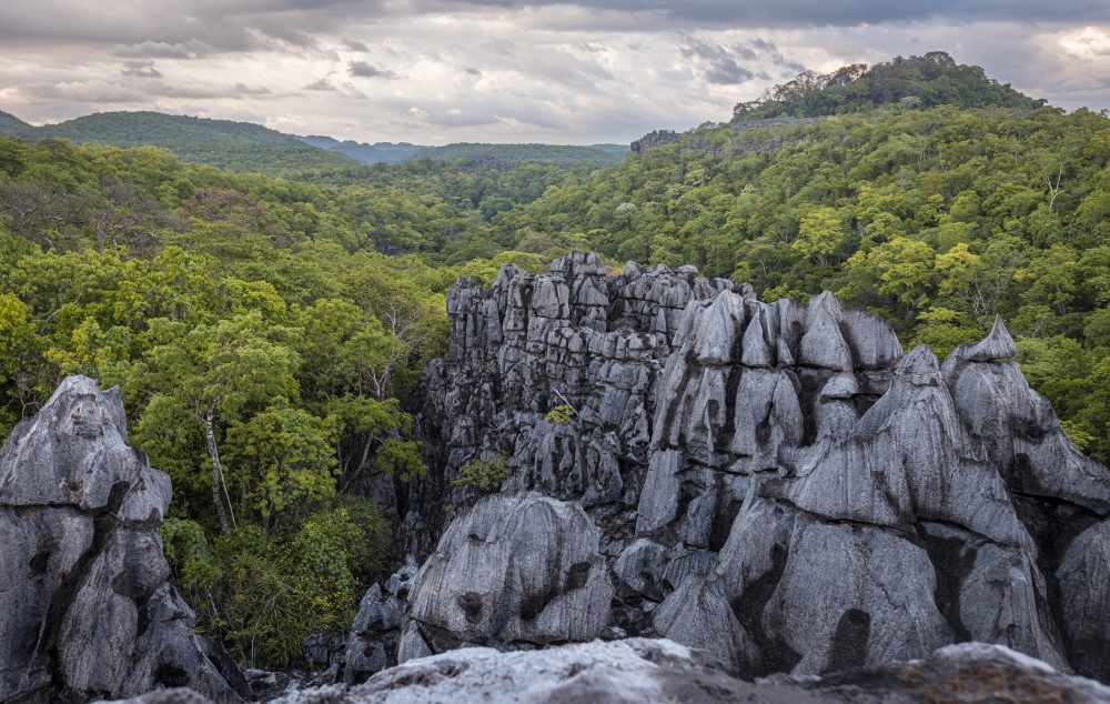 Madagascar, envoûtante et mystérieuse... Une invitation au voyage dans l'archipel de Nosy be et de Nosy komba, une nature unique au monde, un peuple accueillant..